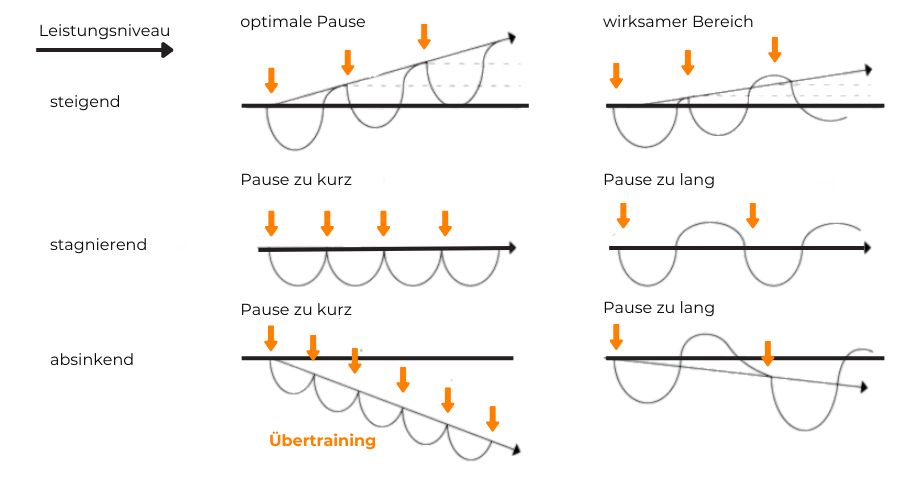 Trainingsprinzipien Grafik